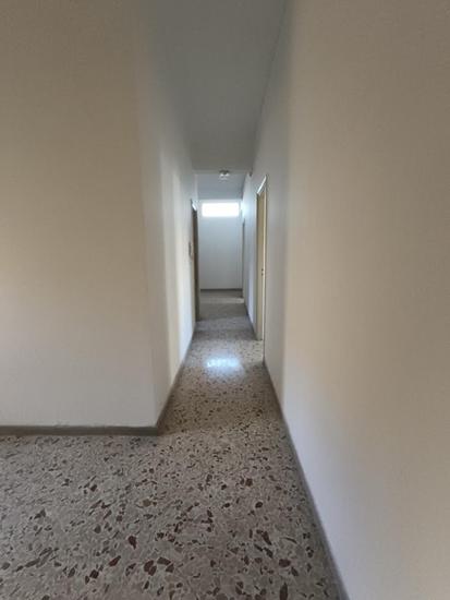  id.5302899