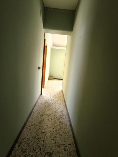  id.5304261