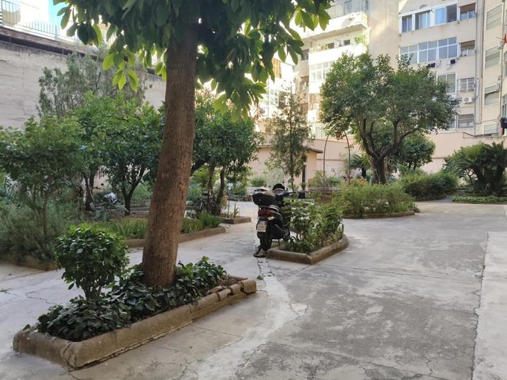  id.5305630