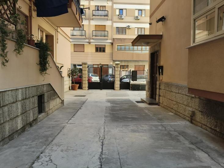  id.5305625